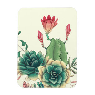 Mooie cactus met ventilator magneet