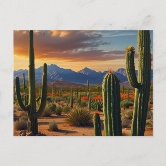 Mooie Cactuswoestijn Briefkaart (Voorkant)