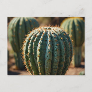 Mooie Cactuswoestijn Briefkaart
