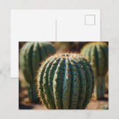 Mooie Cactuswoestijn Briefkaart (Voorkant / Achterkant)