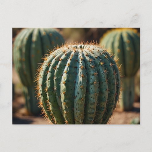 Mooie Cactuswoestijn Briefkaart (Voorkant)
