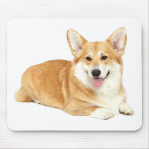 Mooie cadeau voor Pembroke Welsh Corgi-hondliefheb Muismat