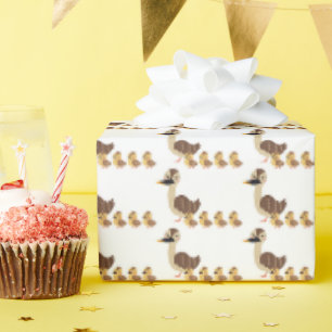 Mooie Cadeauverpakking voor Babyfeestje Cadeaupapier