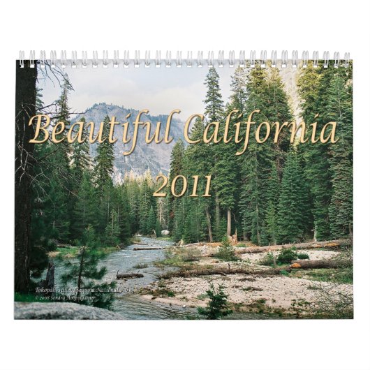 Mooie Californië 2011 Kalender (Hoes)