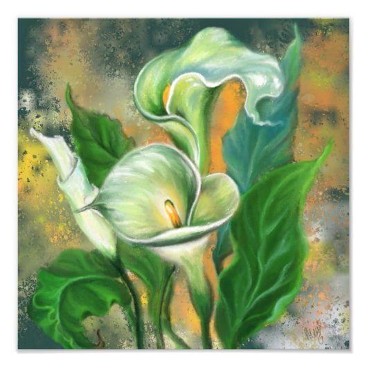 Mooie Calla Lily Flower - Migned Art Drawing Foto Afdruk (Voorkant)
