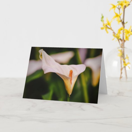 Mooie Calla Lily in Garden Flower Note Kaart (Gele Bloem)