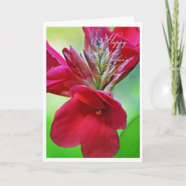 Mooie Cana lelie bloem Moederdag kaart