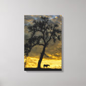 Mooie Canvas paard en eikenboom met zonsopgang (Voorkant)