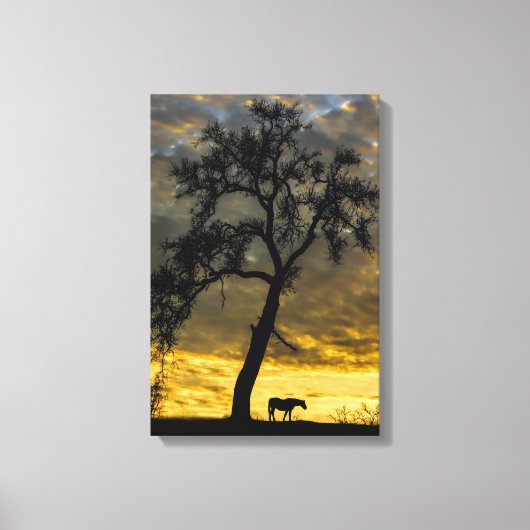 Mooie Canvas paard en eikenboom met zonsopgang (Voorkant)