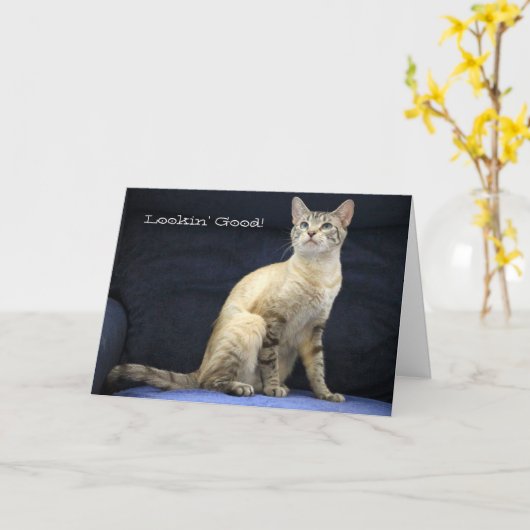 Mooie Cat Verjaardag Kaart voor Speciale Persoon (Gele Bloem)