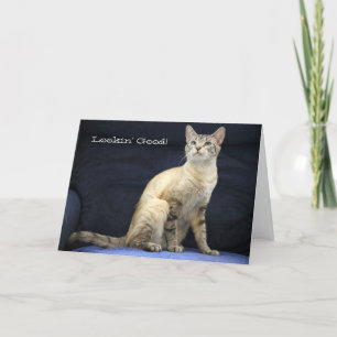 Mooie Cat Verjaardag Kaart voor Speciale Persoon