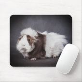 Mooie Cavia, Muismat (Met muis)