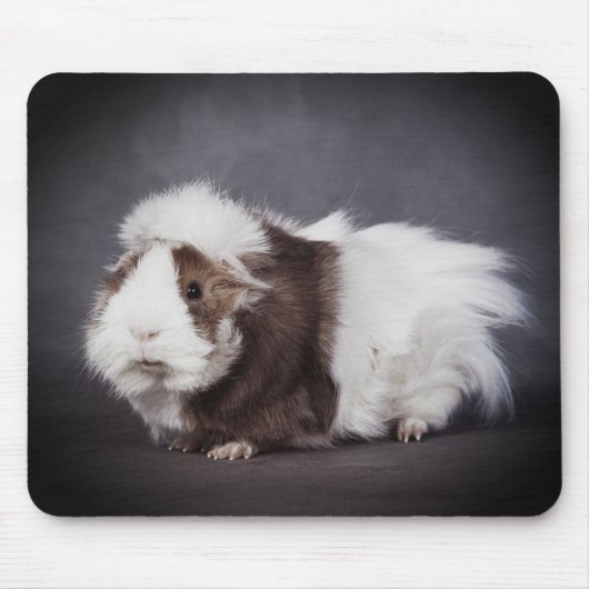 Mooie Cavia, Muismat (Voorkant)