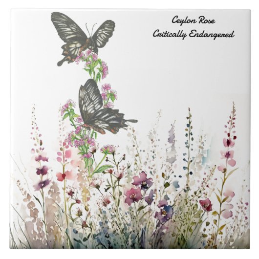 Mooie Ceylon Roos handgeschilderde vlinder Tegeltje (Voorkant)