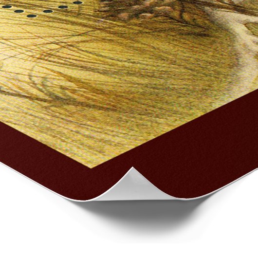 Mooie champignonzetjes ~ Toadstool Oekraïne 1999 Poster (Hoek)