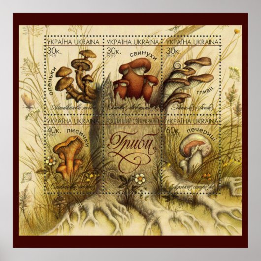 Mooie champignonzetjes ~ Toadstool Oekraïne 1999 Poster (Voorkant)