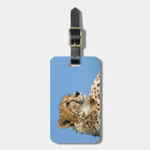Mooie Cheetah Bagagelabel (Voorkant verticaal)