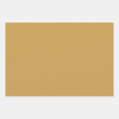 Mooie Cheetah Exotic Inpakpapier Vel (Voorkant 3)