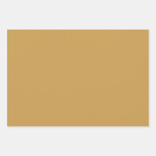 Mooie Cheetah Exotic Inpakpapier Vel (Voorkant 3)