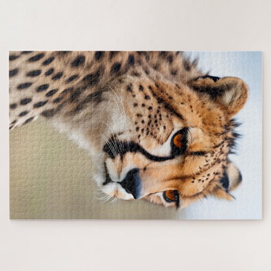 Mooie Cheetah Legpuzzel (Horizontaal)