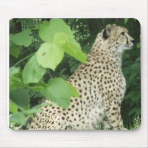 Mooie cheetah muismat