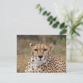 Mooie cheetah-portret briefkaart (Staand voorkant)