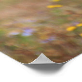 Mooie cheetah-portret poster (Hoek)