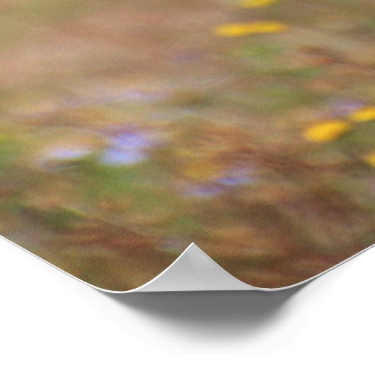 Mooie cheetah-portret poster (Hoek)