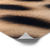 Mooie Cheetah Poster (Hoek)