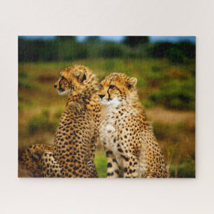 Mooie Cheetah Siblings, Jigzaag Puzzle Legpuzzel