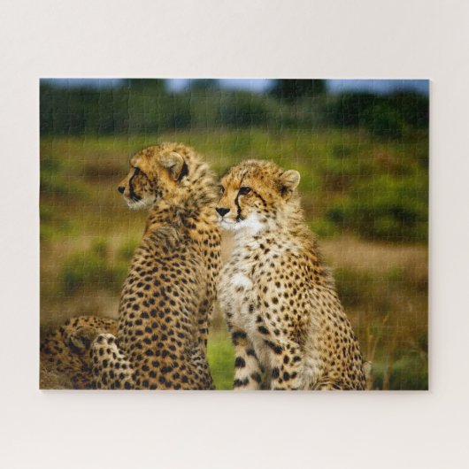 Mooie Cheetah Siblings, Jigzaag Puzzle Legpuzzel (Horizontaal)