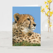 Mooie Cheetah - Wenskaart Kaart (Gele Bloem)