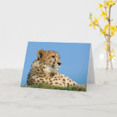 Mooie Cheetah Wenskaart. Kaart (Gele Bloem)