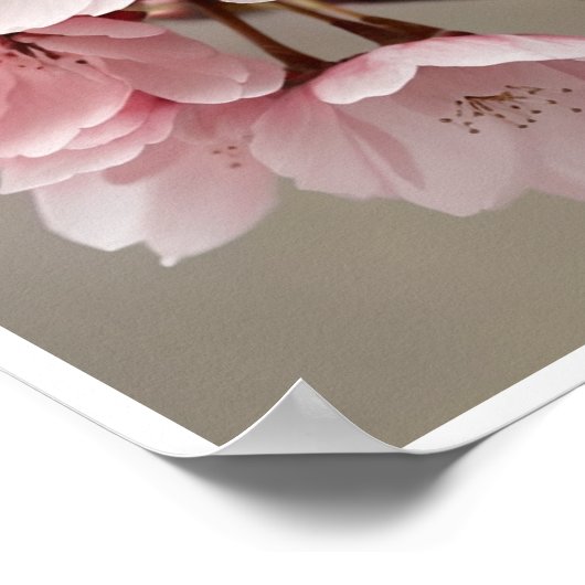 Mooie Cherry Blossom Flower Wall Poster Art (Hoek)