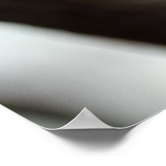 Mooie Cherry Blossom Flowers Poster (Hoek)