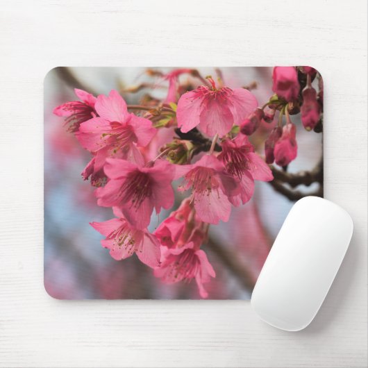 Mooie Cherry Blossom Muismat (Met muis)