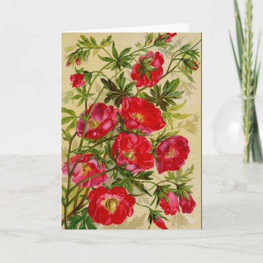 Mooie Cherry Red Wilde Rozen Notecards Kaart (Voorkant)