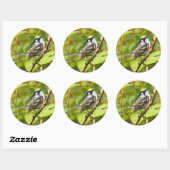 Mooie Chestnut-sided Warbler op een Bijkantoor Ronde Sticker (Vel)