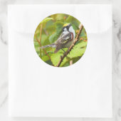 Mooie Chestnut-sided Warbler op een Bijkantoor Ronde Sticker (Tas)