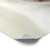Mooie Chic Sweet Pet Siamese Kitten Cat Poster (Hoek)