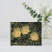 Mooie Chileense gele cactus Flowers Briefkaart (Staand voorkant)