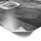 Mooie chimpansee paar - Foto afdrukken (Hoek)