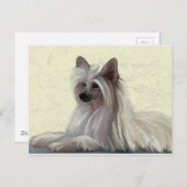 Mooie Chinese kruitpooep Briefkaart (Voorkant / Achterkant)