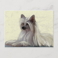 Mooie Chinese kruitpooep