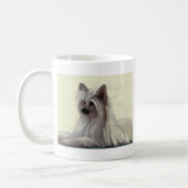 Mooie Chinese kruitpooep Koffiemok (Links)