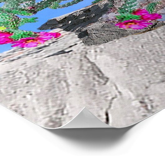 Mooie Cholla Cactus Schrift 1 Samuel 16:7 Poster (Hoek)