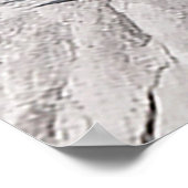 Mooie Cholla Cactus Schrift 1 Samuel 16:7 Poster (Hoek)