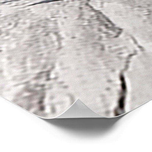 Mooie Cholla Cactus Schrift 1 Samuel 16:7 Poster (Hoek)