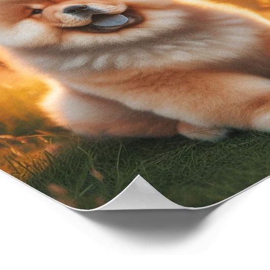 mooie Chow Chow Poster (Hoek)