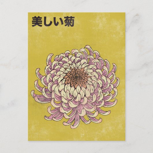 Mooie Chrysanthemum Briefkaart (Voorkant)
